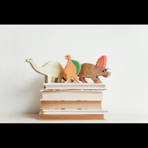 20 - 30 gently used children’s books